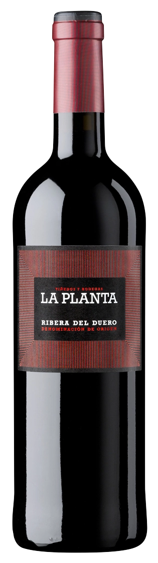 ARZUAGA LA PLANTA RIBERA DEL DUERO 750ML